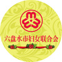 六盘水市妇女联合会ico