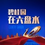 碧桂园在六盘水ico