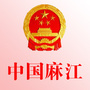 麻江县人民政府网ico