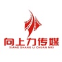 向上力传媒ico