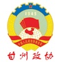 甘州政协ico