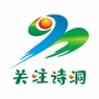 关注诗洞ico