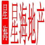 广州星海地产ico