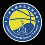 广州越秀区篮球协会ico