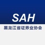 黑龙江省证券业协会ico
