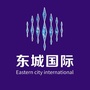 红安东城国际ico