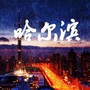 哈尔滨本地生活指南公众号ico