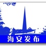 海安发布ico