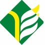 深度海安ico