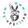 金智网校ico