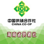 海南省供销社ico