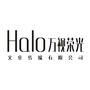 万视荣光ico