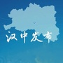 汉中发布ico