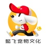 懿飞宠物文化ico