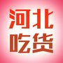 河北吃货公众号ico