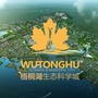 湖北鄂州梧桐湖ico