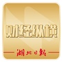 湖北日报财经公众号ico