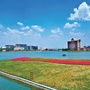 河北丰南经济开发区ico