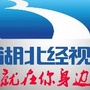 湖北经视ico