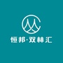 恒邦双林汇ico