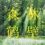 森林鹤壁ico