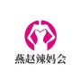 燕赵辣妈会ico
