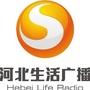 河北生活广播公众号ico