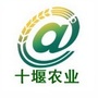 十堰农业ico
