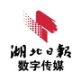 湖北日报数字传媒公众号ico