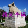 指尖牛城ico