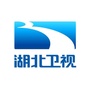 湖北卫视公众号ico