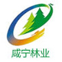 咸宁林业ico