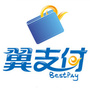 翼支付淮北ico