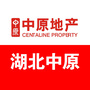 湖北中原公众号ico