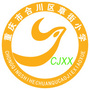 合川区草街小学ico