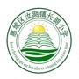 惠州市惠城区汝湖镇长湖小学ico