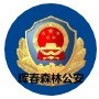 珲春森林公安局ico