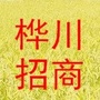 黑龙江省桦川县招商局ico