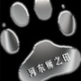 汕头河东狮二手车ico