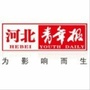 河北青年报ico