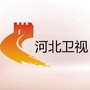 河北卫视ico