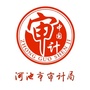 河池市审计局公众号ico