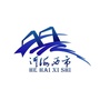 河海西市ico
