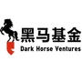 黑马基金ico