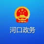 河口政务ico