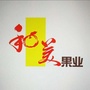 衡水和美果业ico