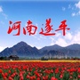 河南遂平ico