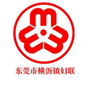 东莞市横沥镇妇联ico