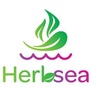Herbsea关爱职场精英的健康ico
