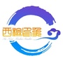河西检察ico